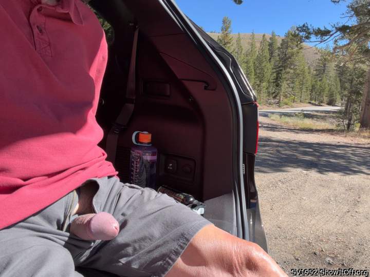 Roadside picnic lunch - with my cock out!