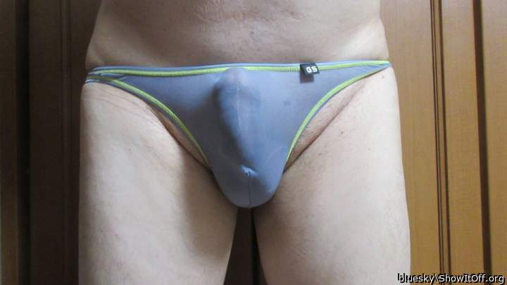 Gorgeous penis in sexy slip 