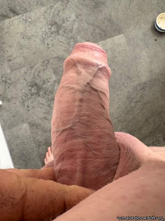 Photo of a middle leg from cumalot