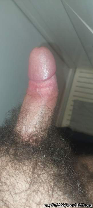 my small dihh (maybe average huh?)