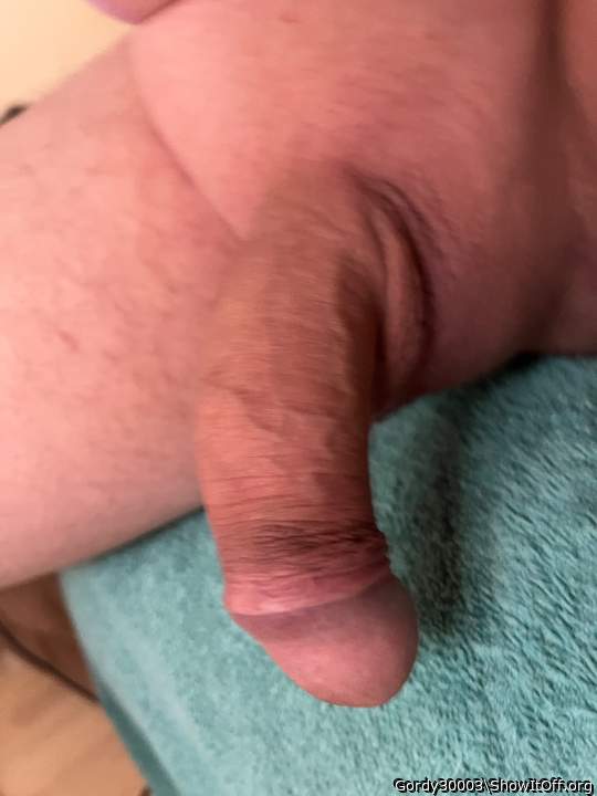 Photo of a cock from Gordy30003
