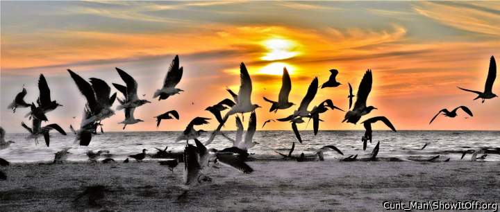 Lido Key Florida