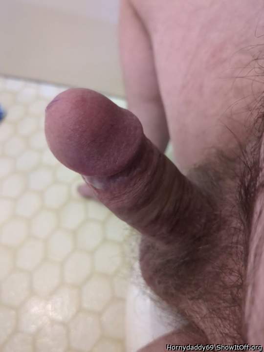 Photo of a python from Hornydaddy69