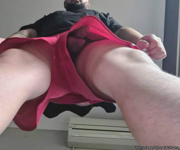Photo of a bat from Horrorbear