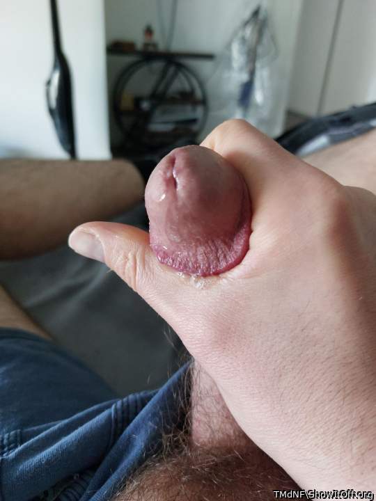 Photo of a snake from TMdNF