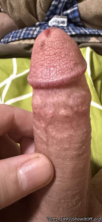 Nicely cut cock - looks good  