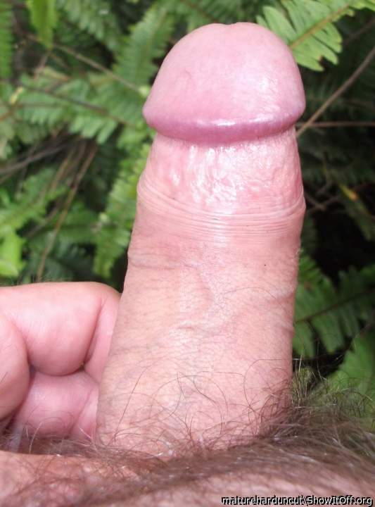 Photo of a phallus from matureharduncut