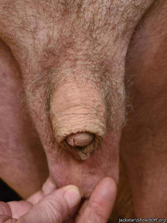 Photo of a short leg from jackstar