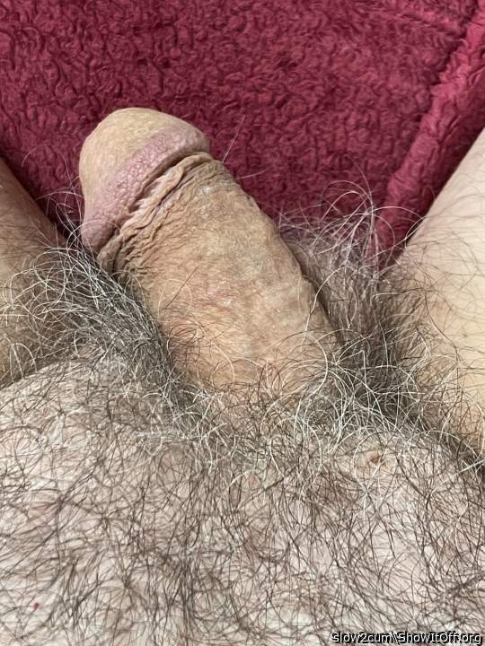 I like it when guys leave their dicks hairy as nature intend