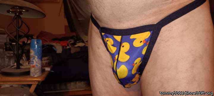 Photo of a cavalier from tommy2063