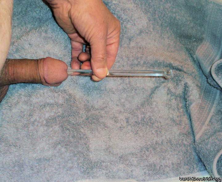 Photo of a cock from karst