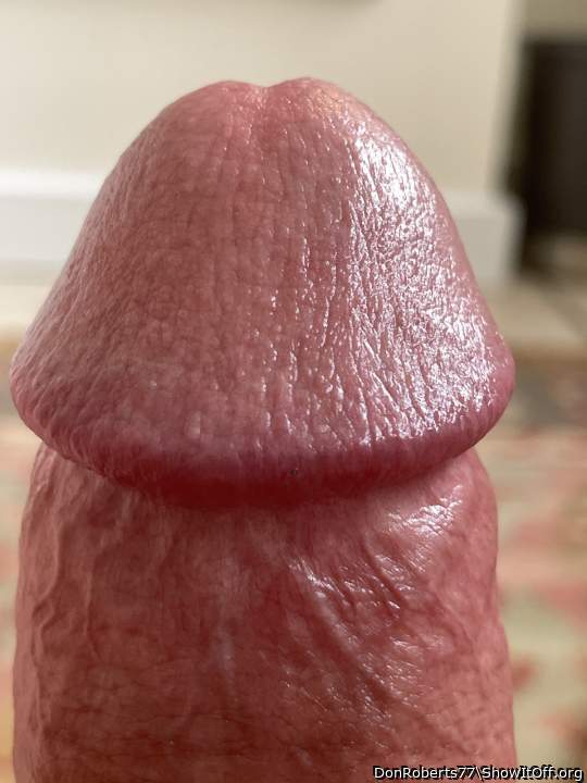 Great picture of a beautiful cock head