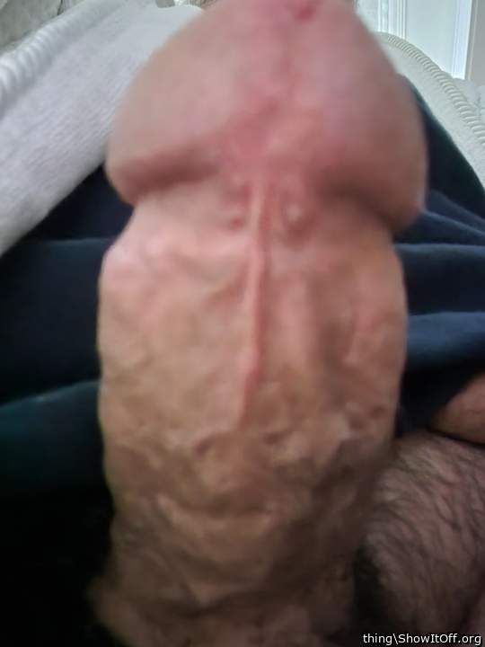 Photo of a short leg from thing