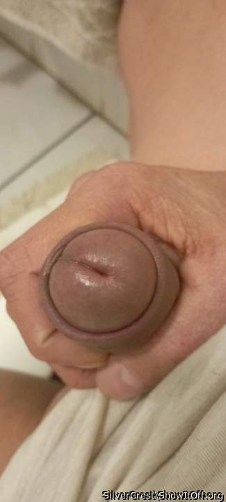 Photo of a penile from SilverCrest