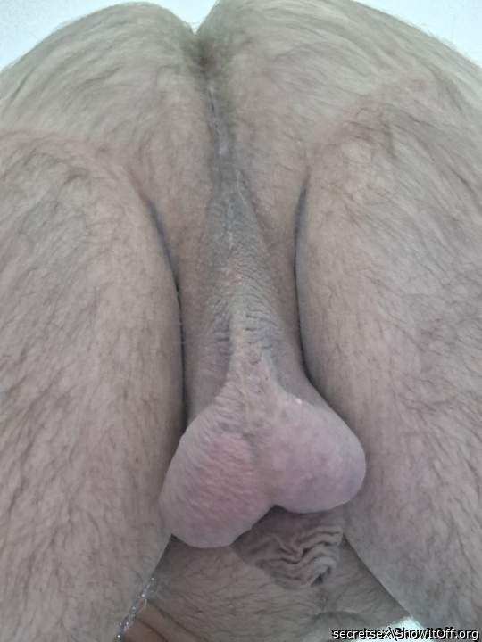 Photo of a dong from secretsex