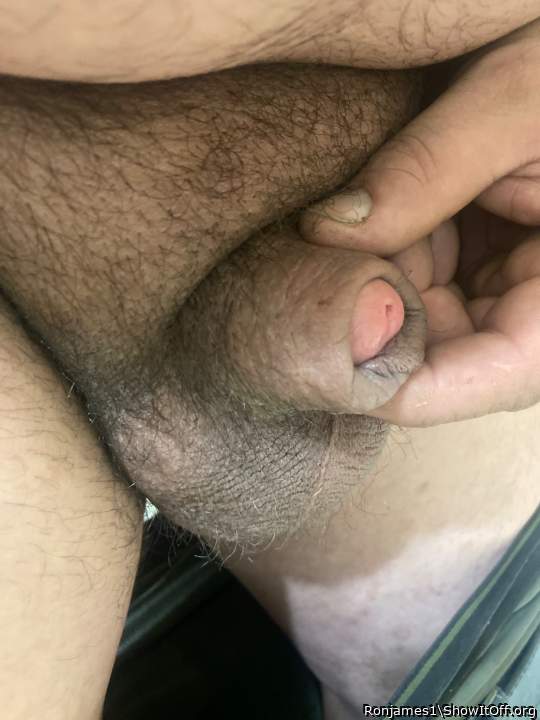 Hot and perfect cock, I�d love a taste and playing around wi