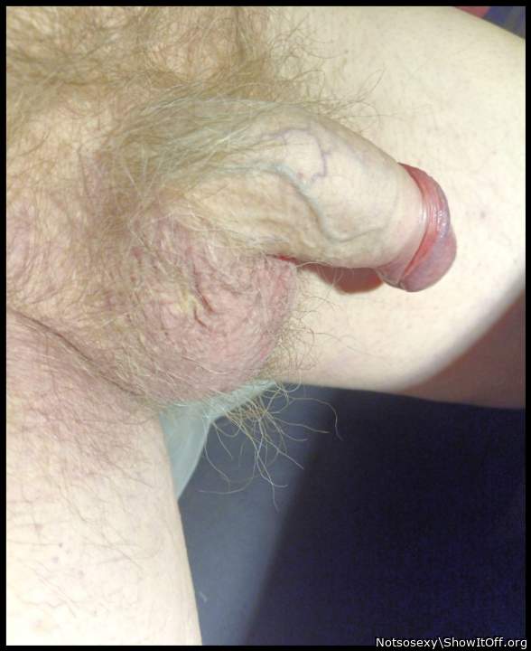 Photo of a dick from Notsosexy