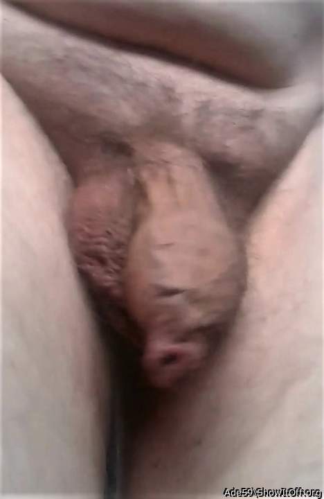 Photo of a third leg from Ade59