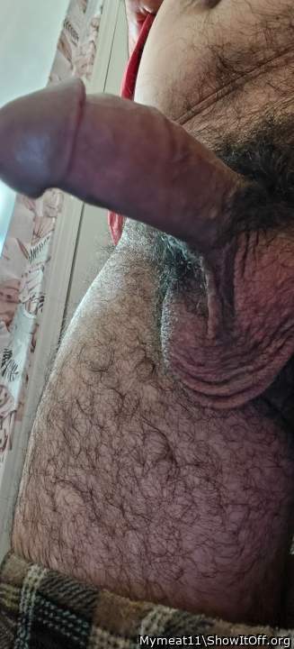 Photo of a weasel from Mymeat11