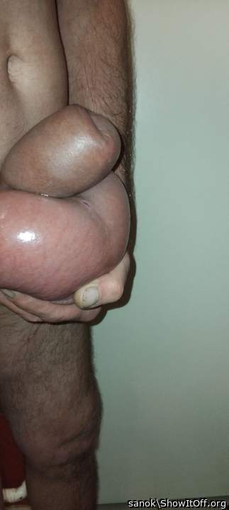 Testicles Photo from sanok