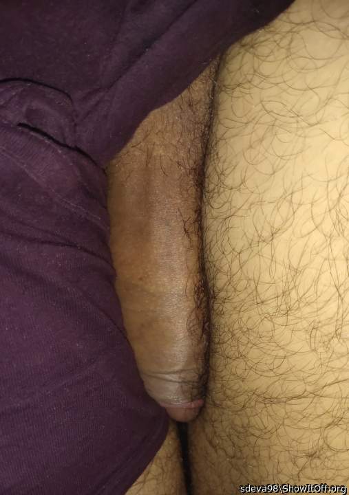 Photo of a snake from sdeva98