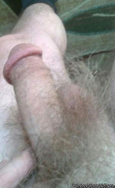 Beautiful cock. Love all the pubic hair