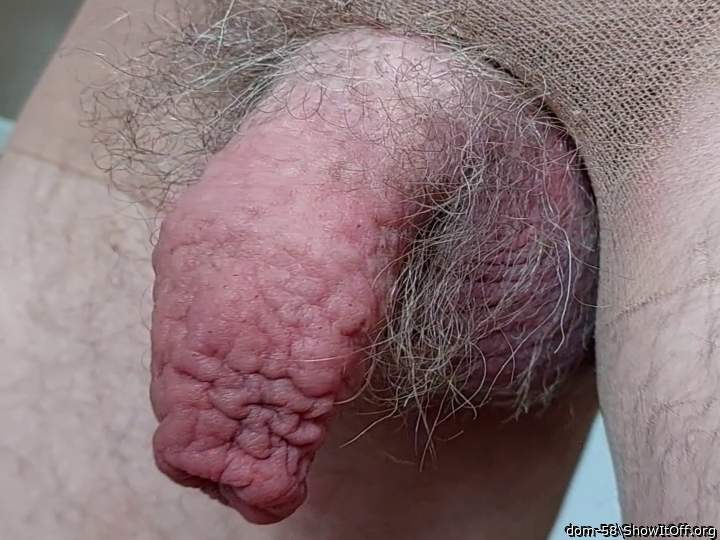 Photo of a wiener from dom-58