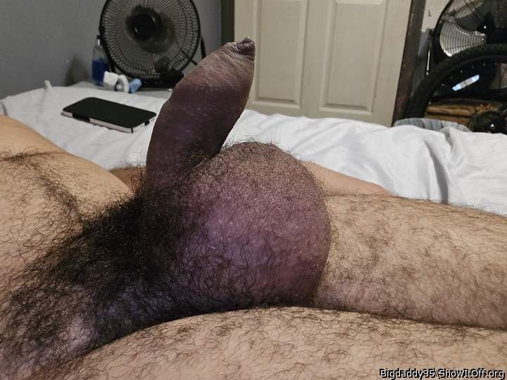 Photo of a wiener from Bigdaddy35