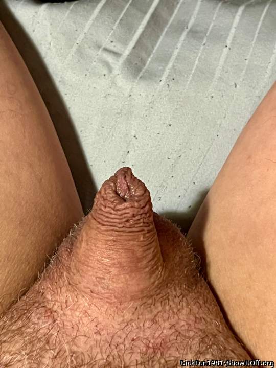 Photo of a joystick from DickFun1981