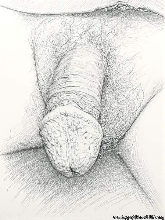 Photo of a dong from meatyguy