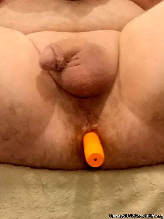 Photo of a penile from Harley2015