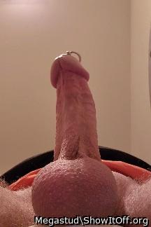 Photo of a pecker from Megastud