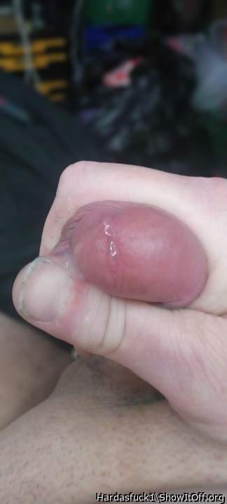 Photo of a sausage from Hardasfuck1