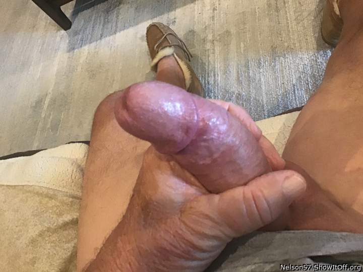 Photo of a weasel from Nelson57