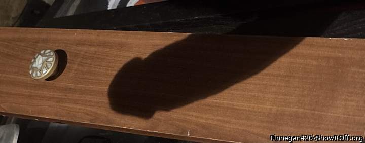 Photo of a bat from Finnegan420