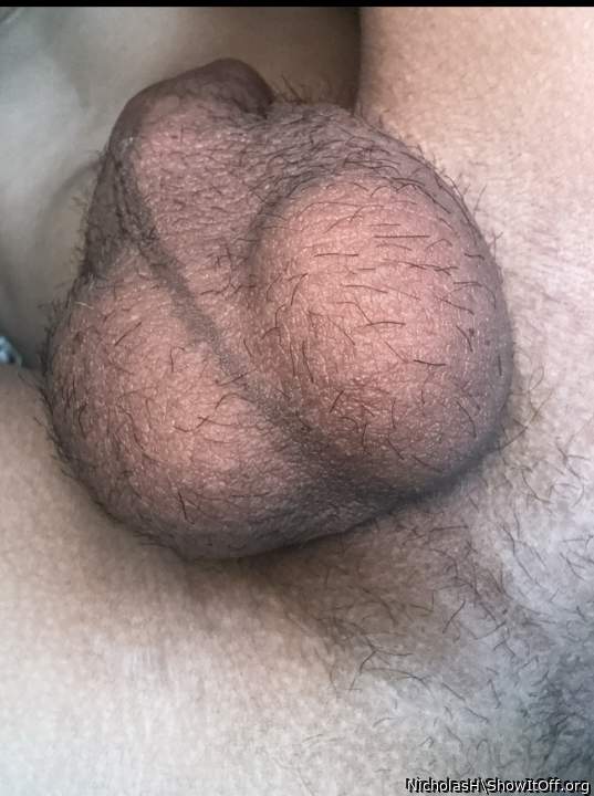 Testicles Photo from NicholasH