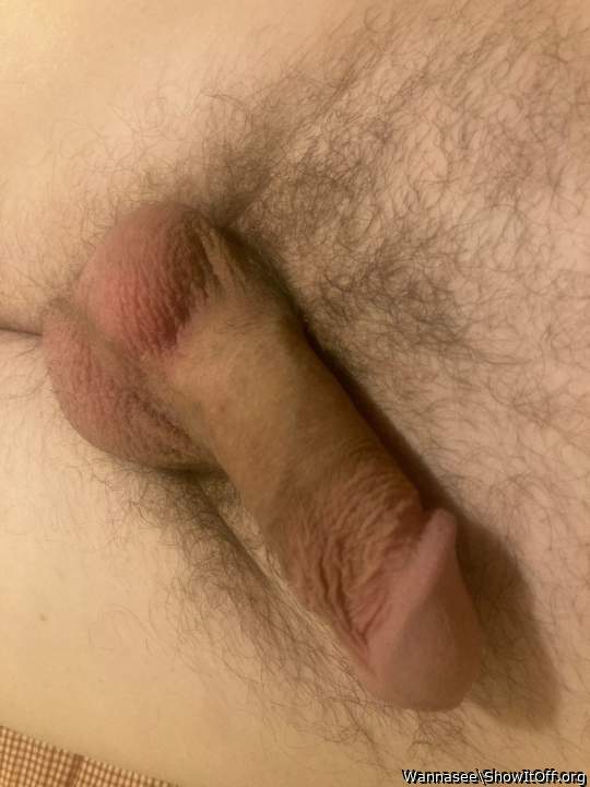 Photo of a weasel from Wannasee