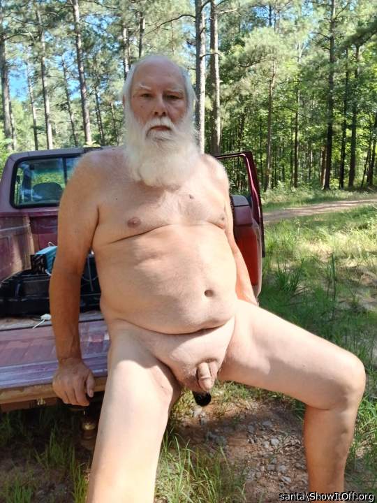 Photo of a rooster from santa