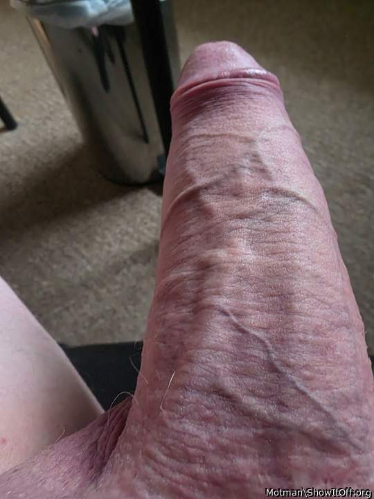 Photo of a hot dog from Motman