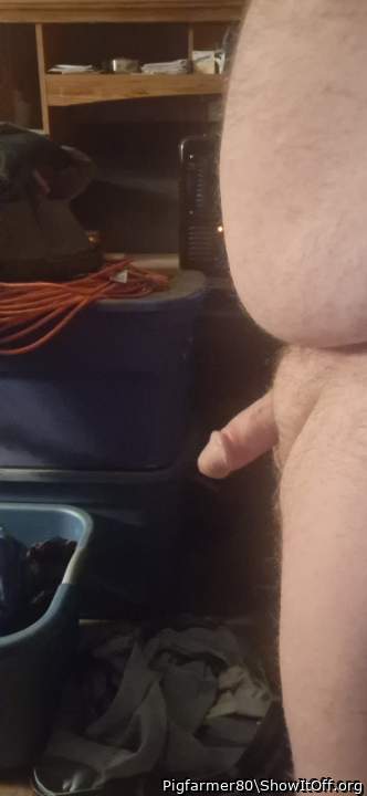 Photo of a wiener from Pigfarmer80