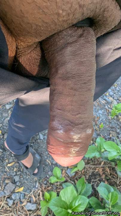 Photo of a hot dog from Kanuking
