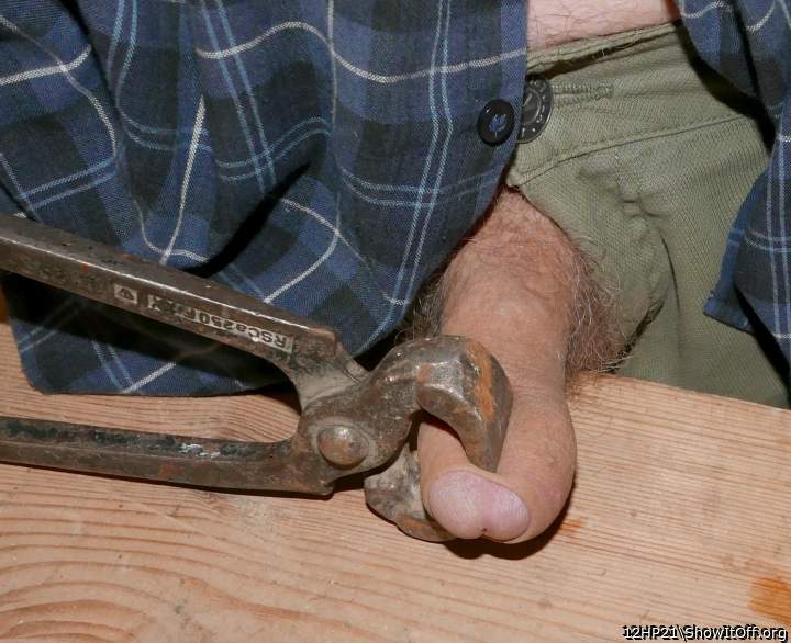 Photo of a sausage from 12HP21