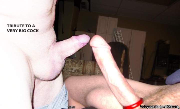 Photo of a penile from babycok