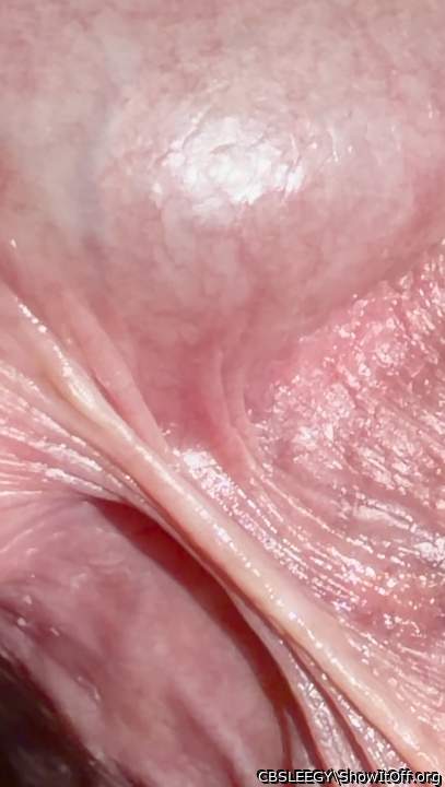 Perfect veins caught near the frenulum!