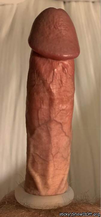 Photo of a middle leg from sticky
