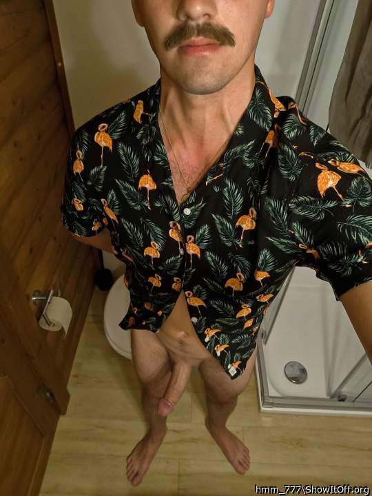 like a 70s pornstar [M27 6'3")