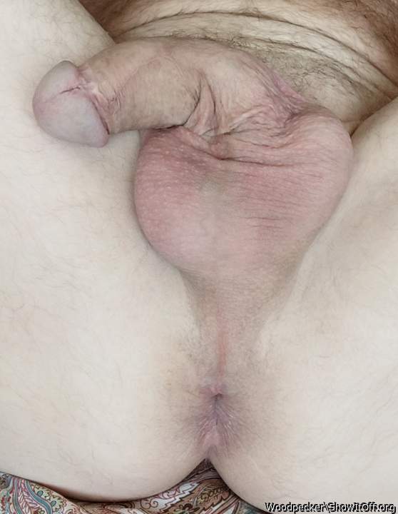 Photo of a wiener from Woodpecker