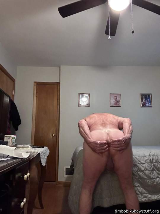 Photo of a cavalier from jimbobi