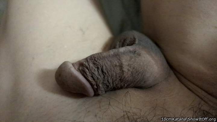 Photo of a dick from 10cmKatana
