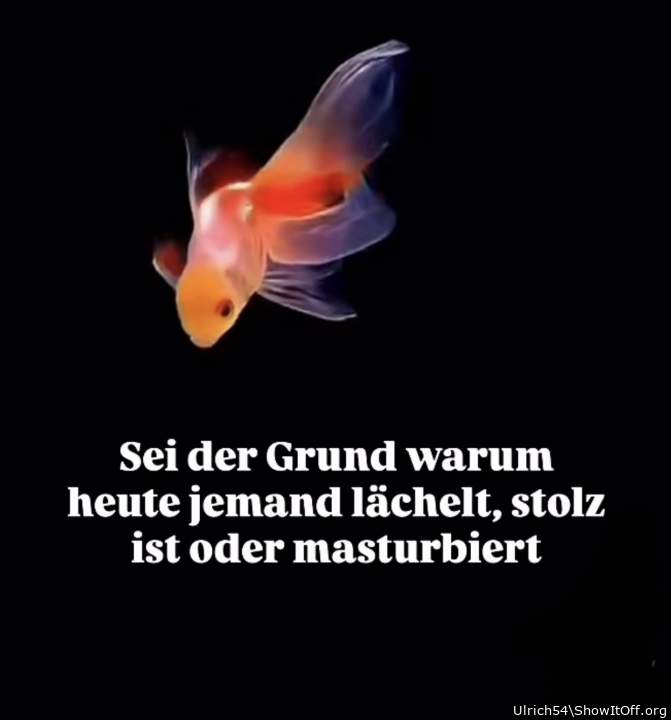 Photo of a hot-rod from Ulrich54